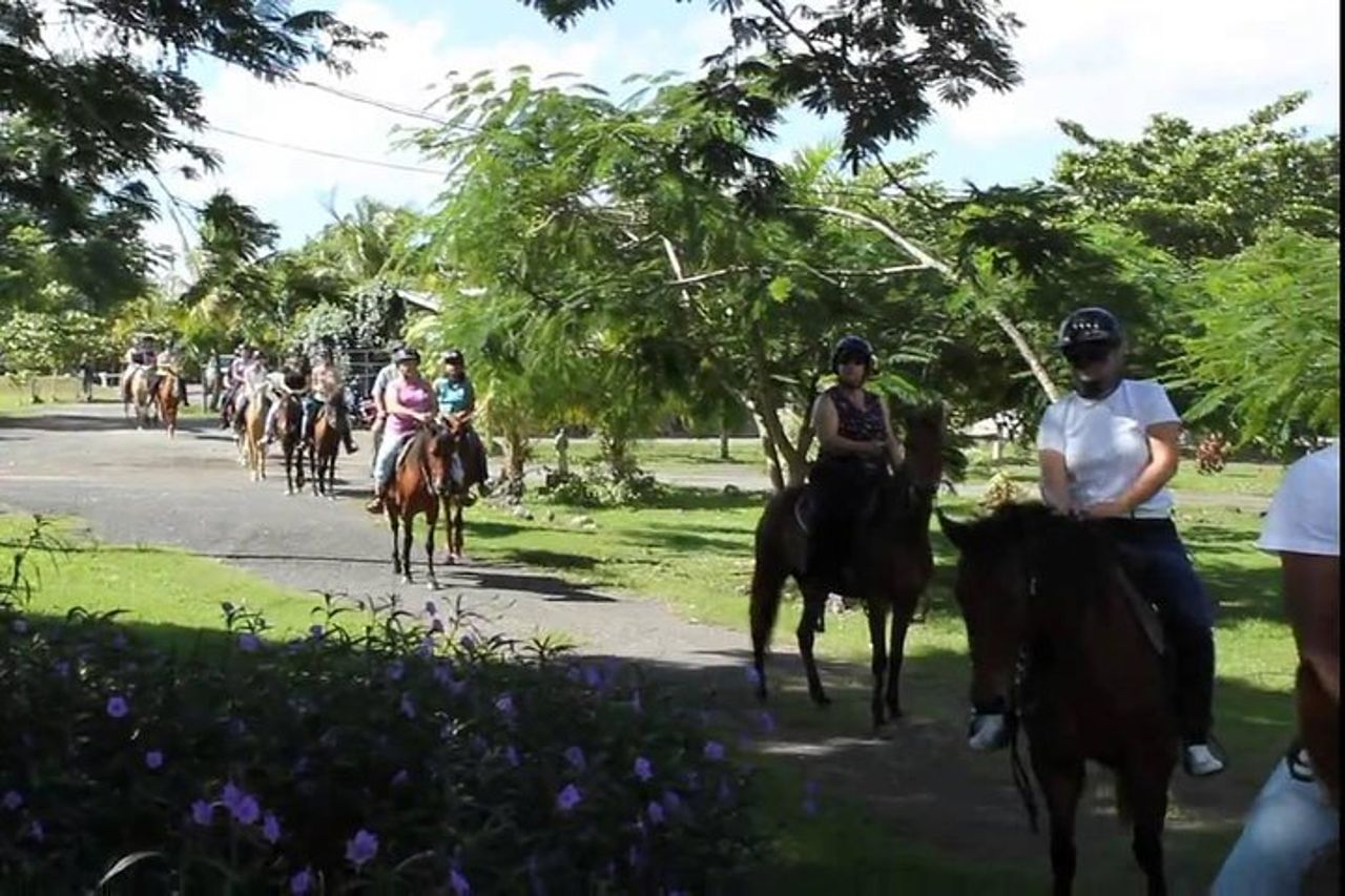 Tour panoramico a cavallo da San Juan — 9