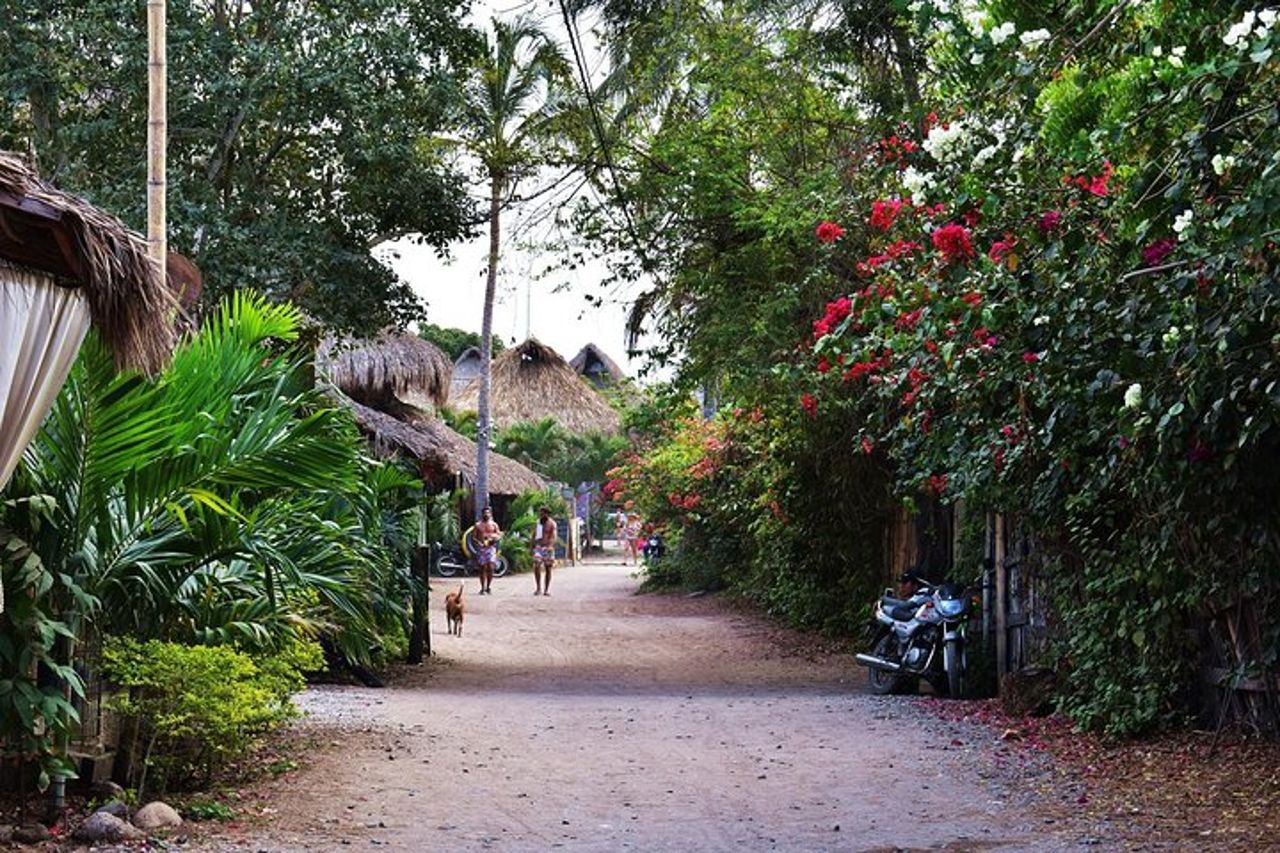 Servizio di trasporto privato da Santa Marta a Palomino