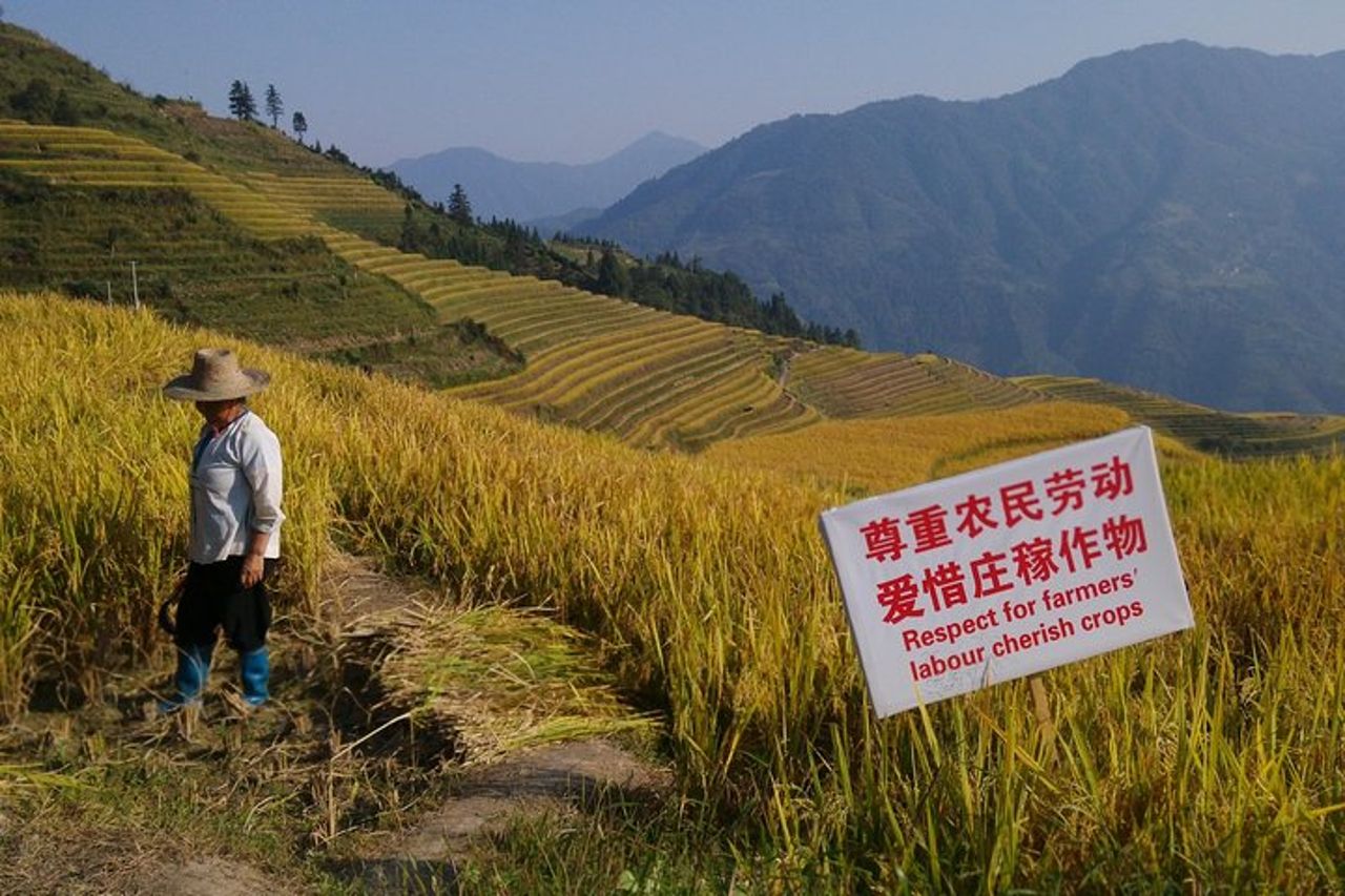 Avventura in bici di 7 giorni a Guilin e Longji Rice Terraces — 9