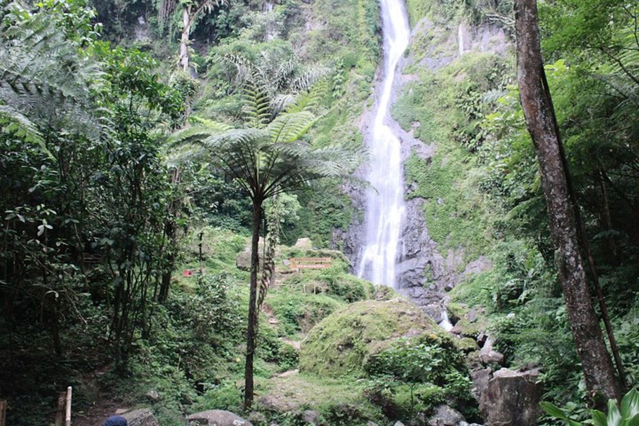 La natura curativa della campagna di Bandung — 3