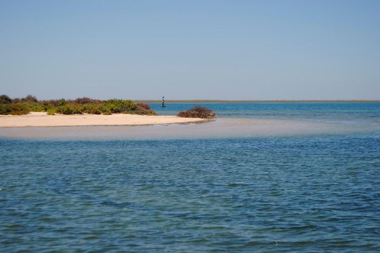 Breve gita in barca della laguna Ria Formosa dell'Algarve da Faro: 1 ora — 5