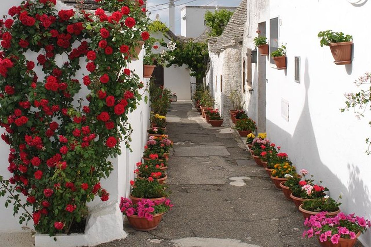 Alberobello&Ostuni& Polignano a Mare — 2