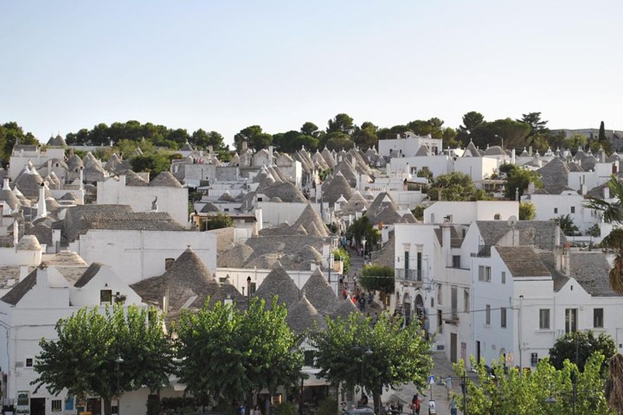 Tour di mezza giornata ad Alberobello con degustazione di olio extravergine d'oliva e liquori. — 3