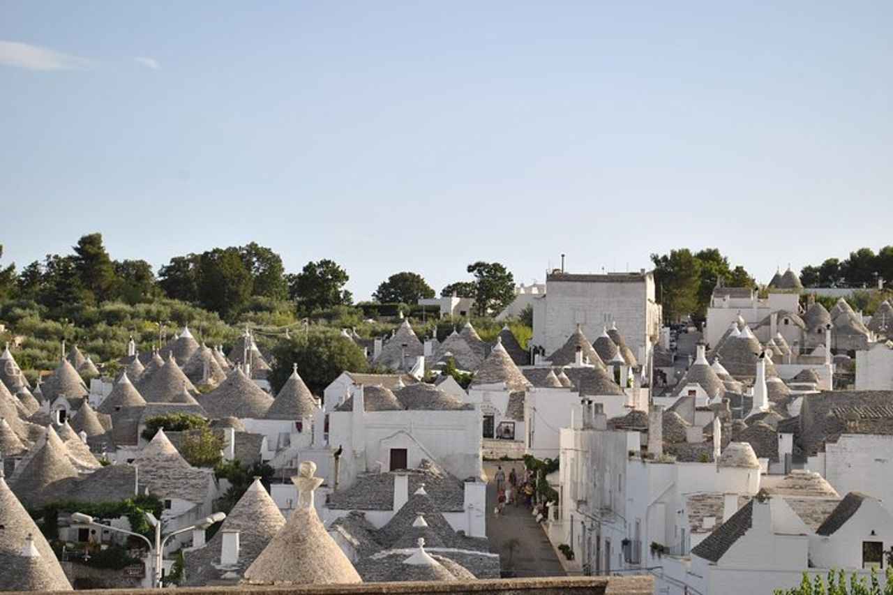 Tour di mezza giornata ad Alberobello con degustazione di olio extravergine d'oliva e liquori. — 5