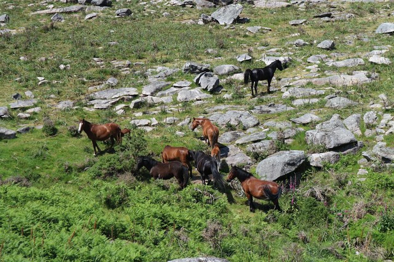 Tour privato in 4X4 - Montagna — 6