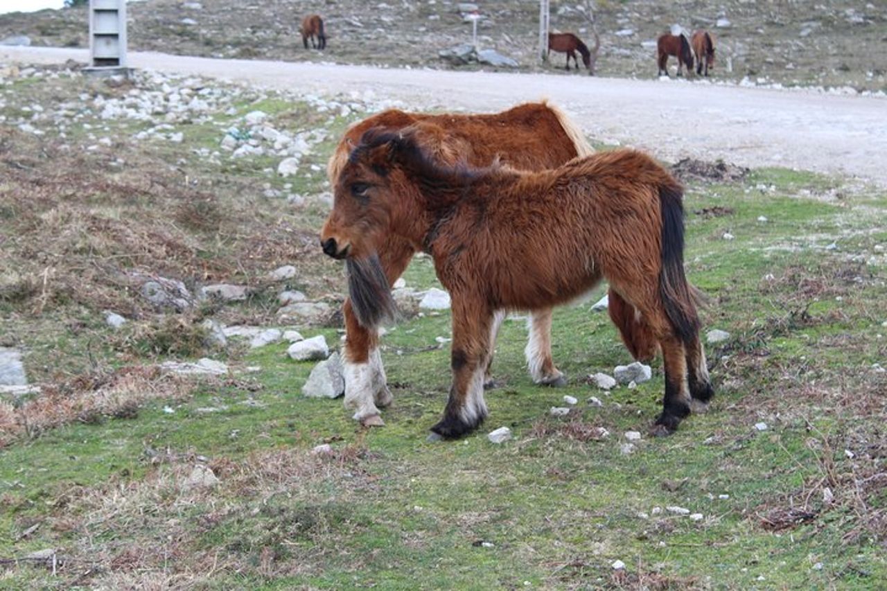 Tour privato in 4X4 - Alla scoperta dei Monti Arga — 8