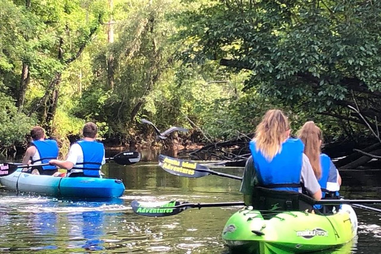 Kayak autoguidato: vera avventura in Florida — 6