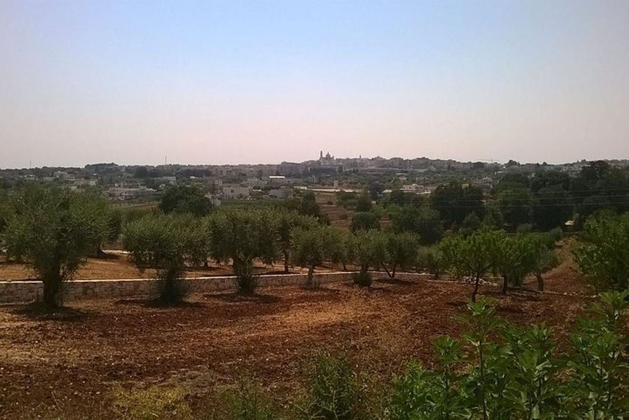 Alberobello guided tour & Dairy GUIDED TOUR With soft Lunch & — 6