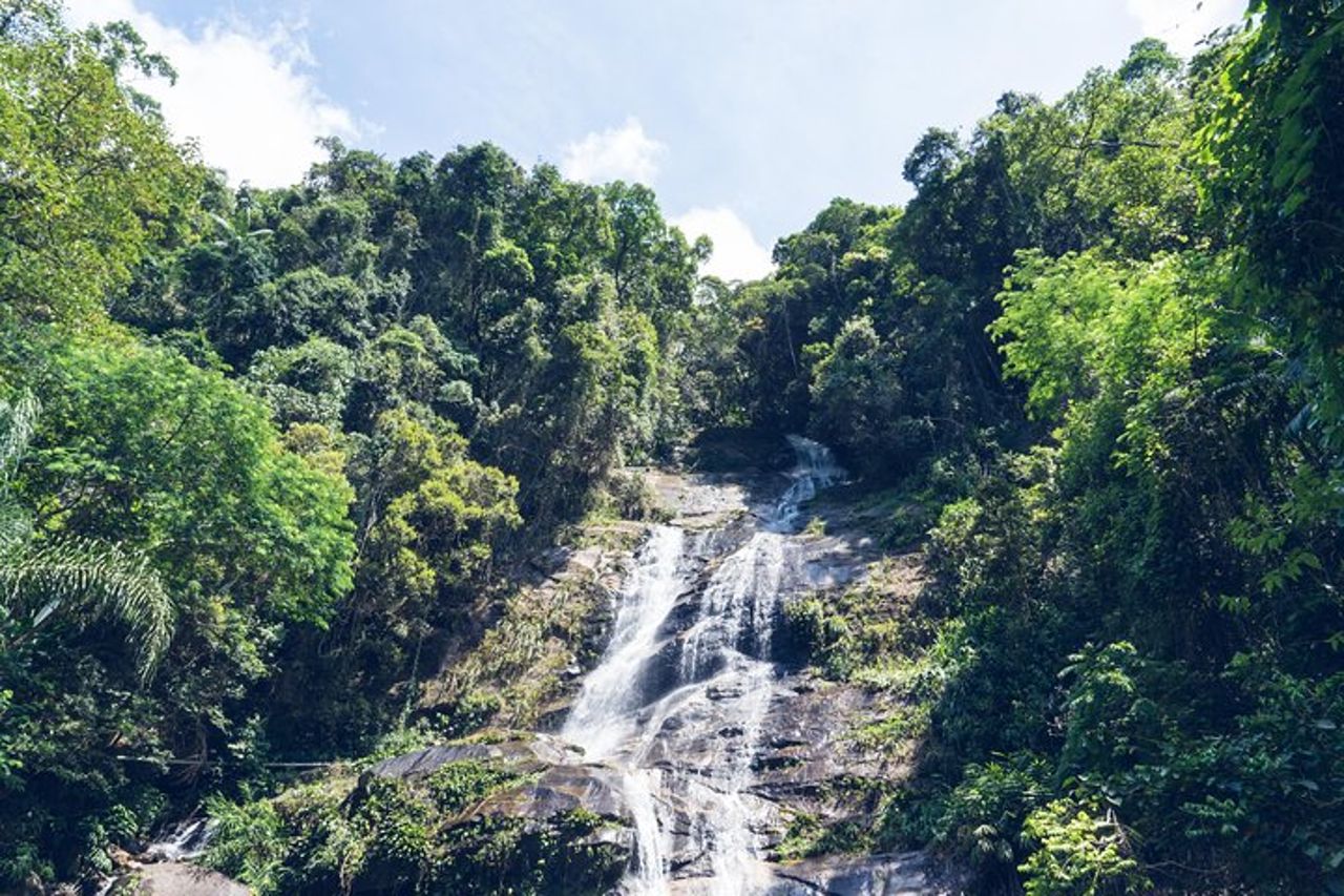 Nuota sotto le cascate di Tijuca — Escursioni, grotte, fauna selvatica e viste di Rio — 7