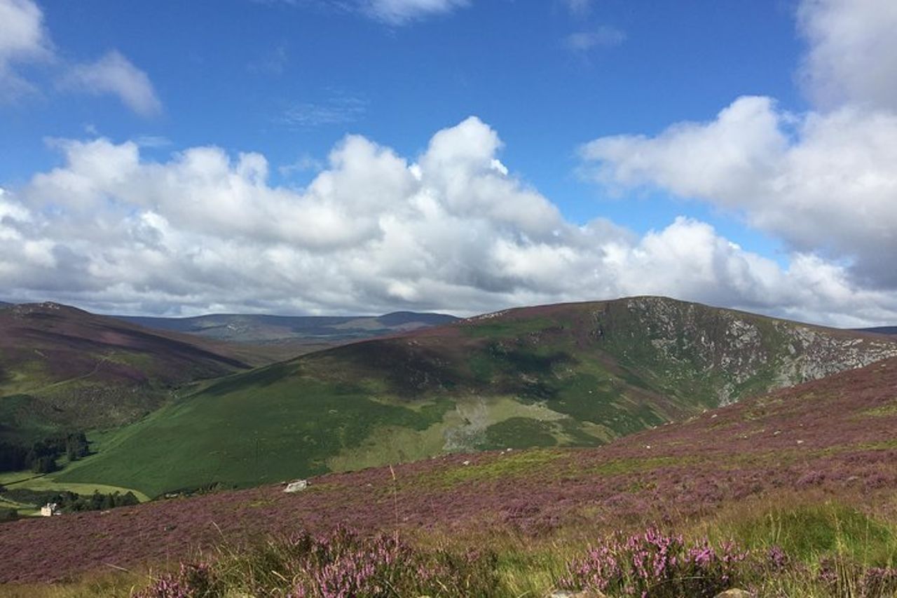Glendalough e la storia di Wicklow in Song Coach Tour — 7