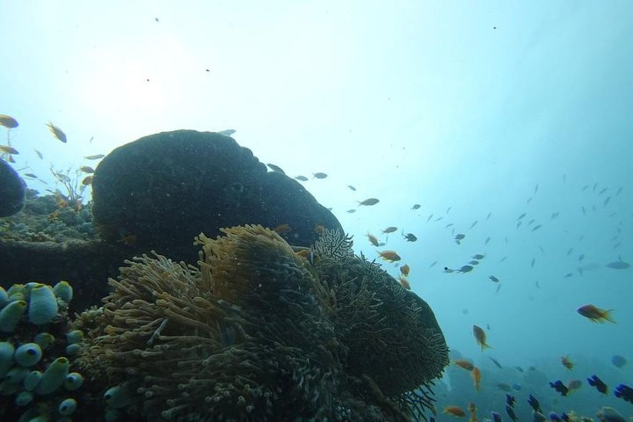Il meglio delle Maldive per chi viaggia da solo — 6