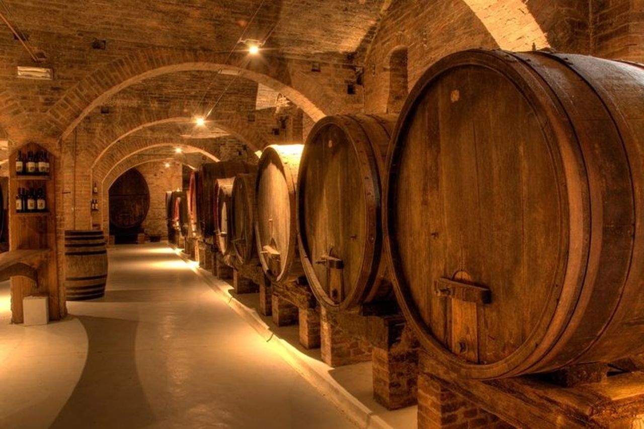 Esperienza enologica privata di Pisa, pasta e Chianti e pranzo da Montecatini — 5