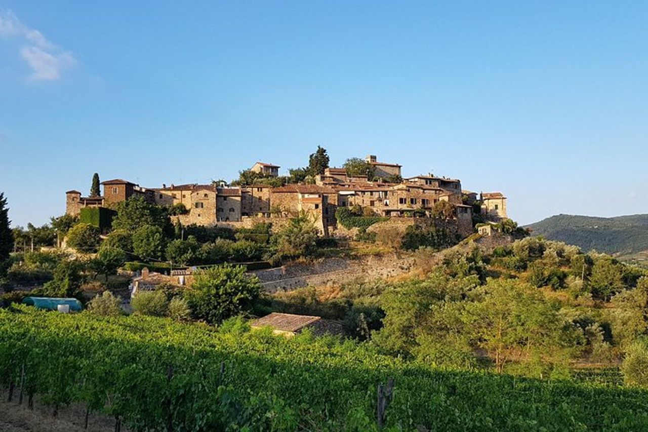 Azienda vinicola Montefioralle - Tour e degustazione di vini nel Chianti