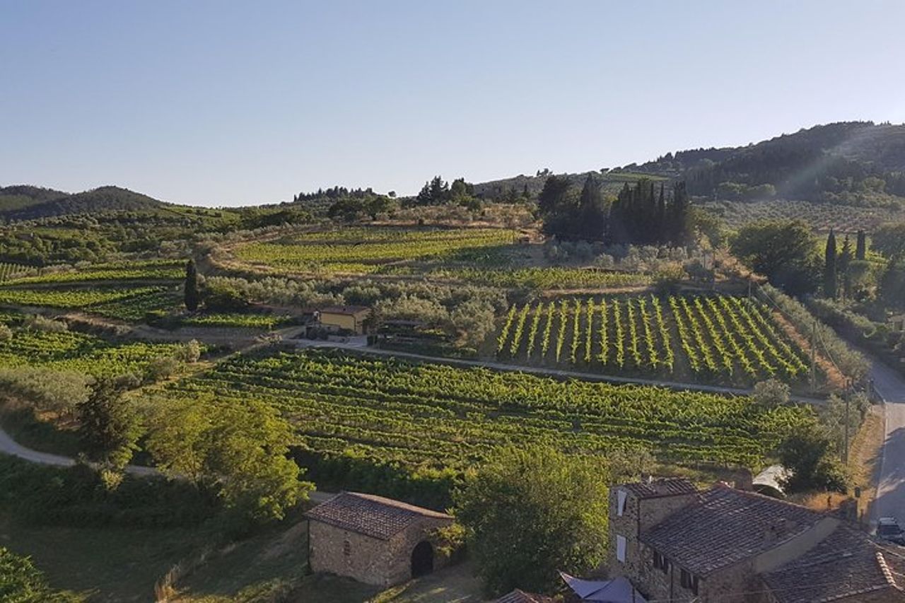Azienda vinicola Montefioralle - Tour e degustazione di vini nel Chianti — 7