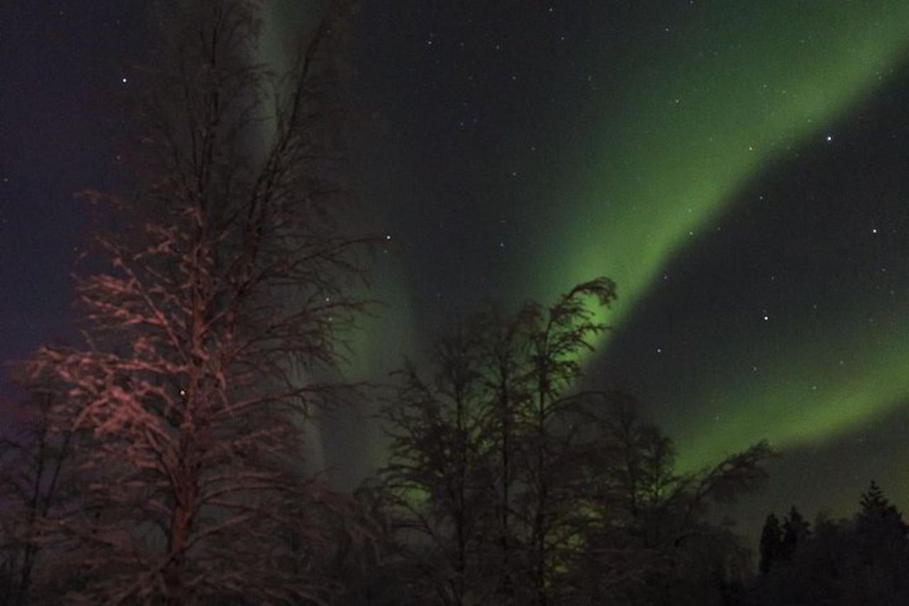 Cielo artico, Natura e aurora boreale Fotografare Pyhä-Luosto — 3