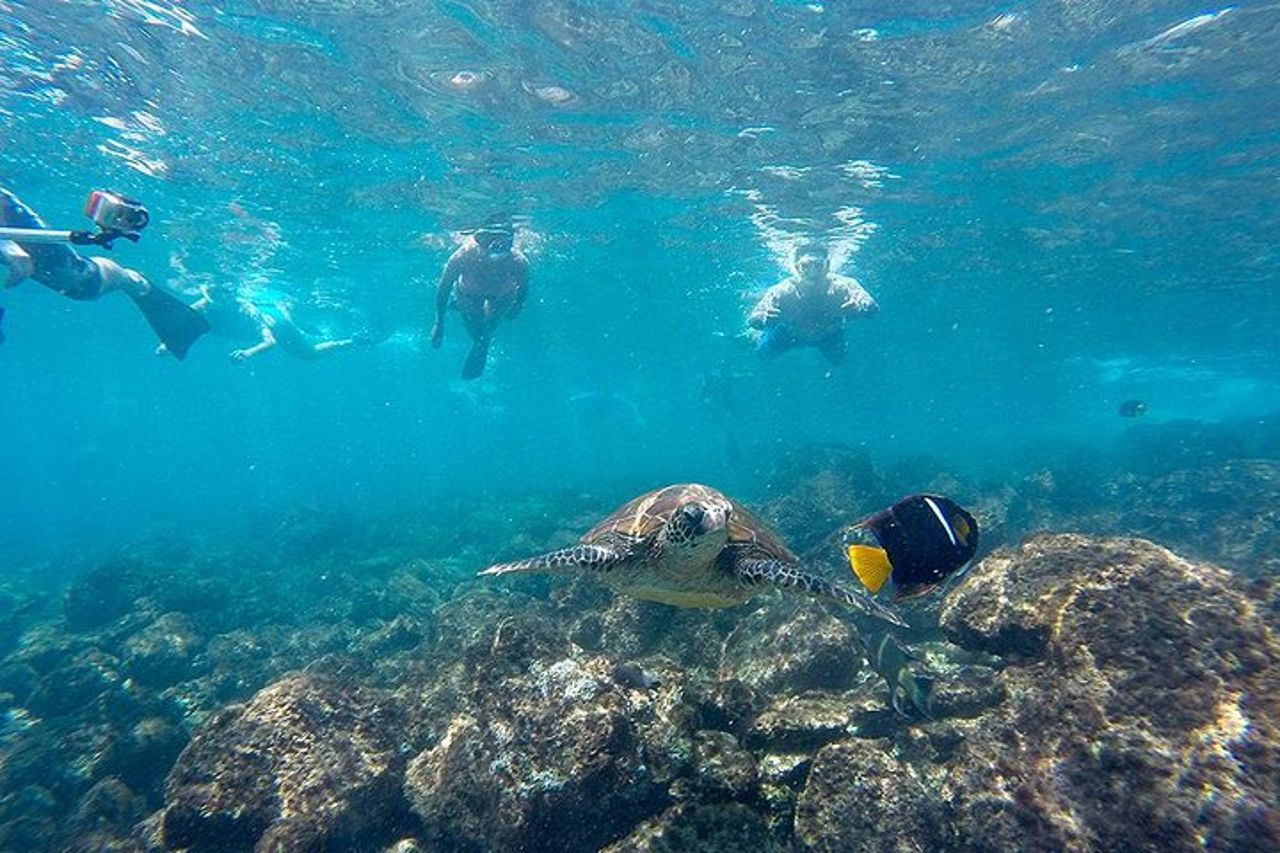 Gita di un giorno con snorkeling all'Isola di Pinzon e La Fe — 3