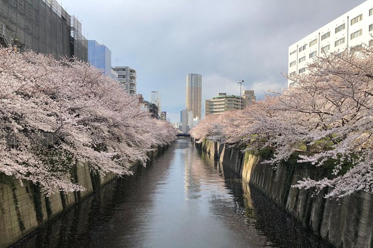 Un giorno da sogno e delizioso a Tokyo