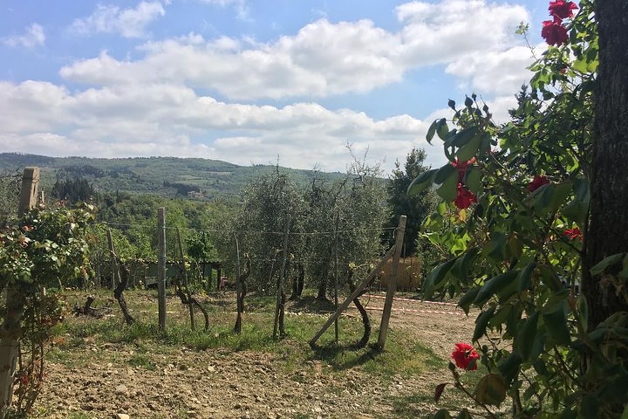 Tour privato del vino del Chianti — 8