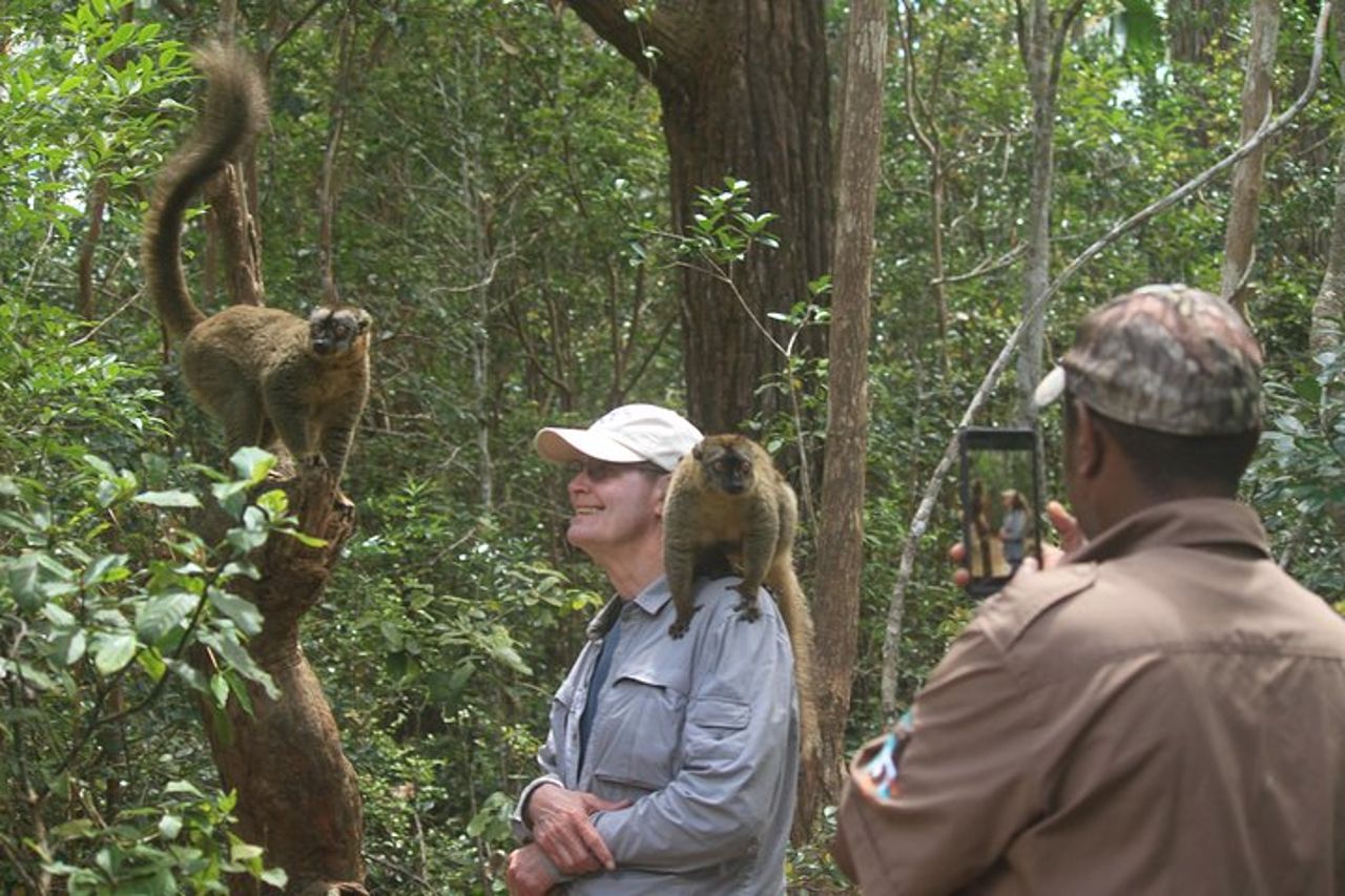 Tour della natura del Madagascar per 2 giorni — 4
