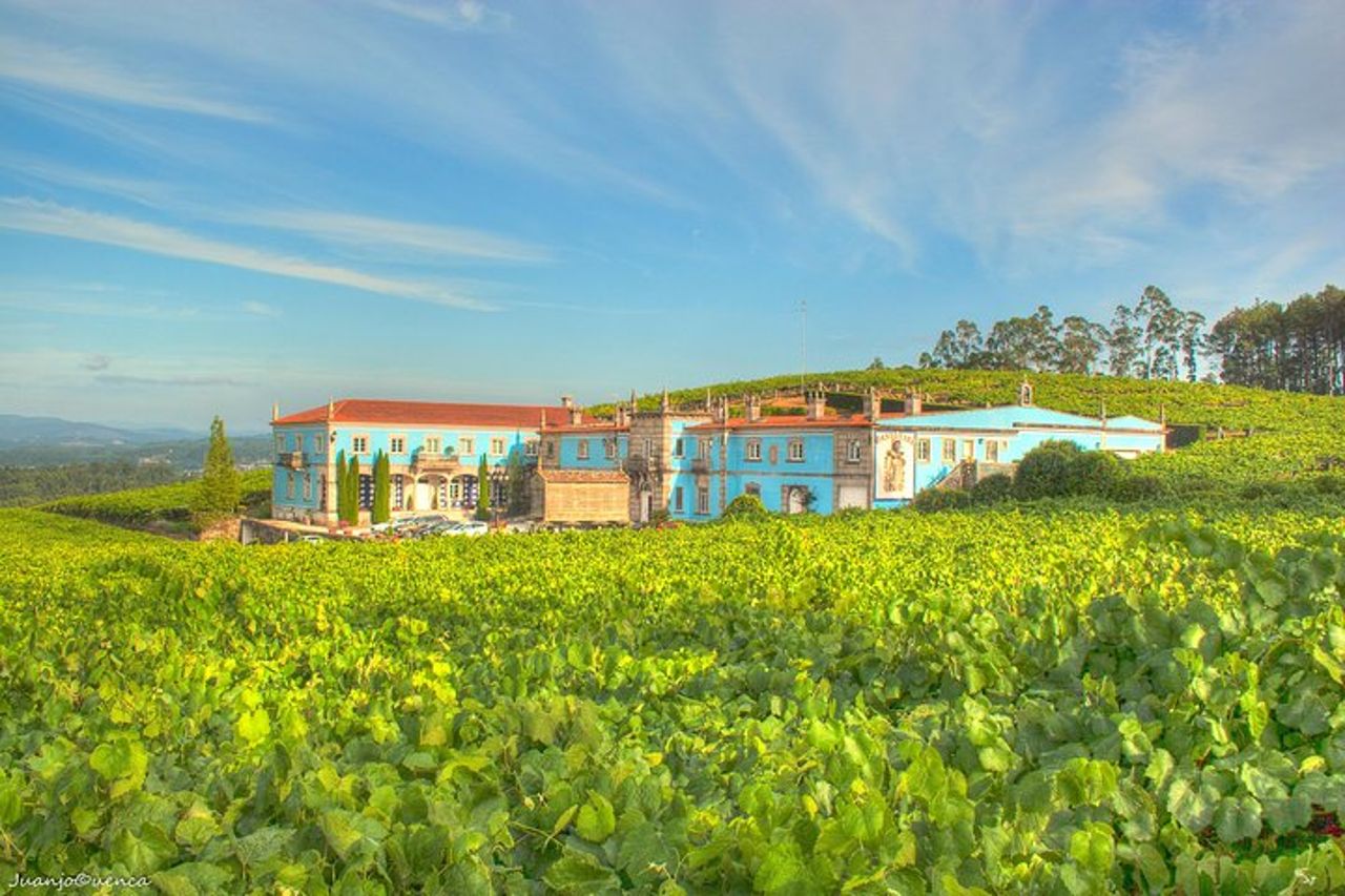 Regioni vinicole della Galizia 4 giorni Food & Wine per piccoli gruppi "Tour privato" — 5