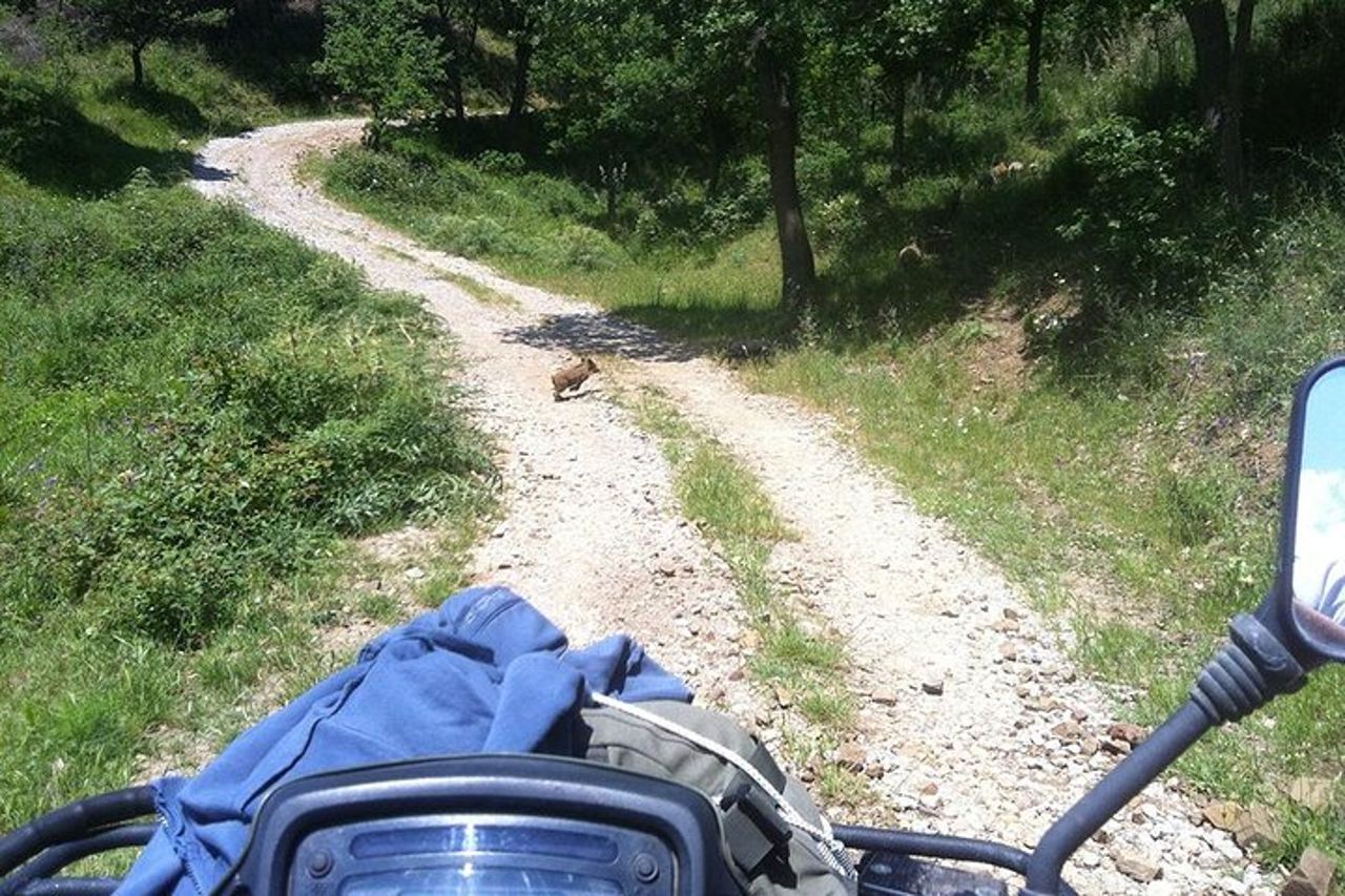 Offroad Cefalù Quad Tour — 3