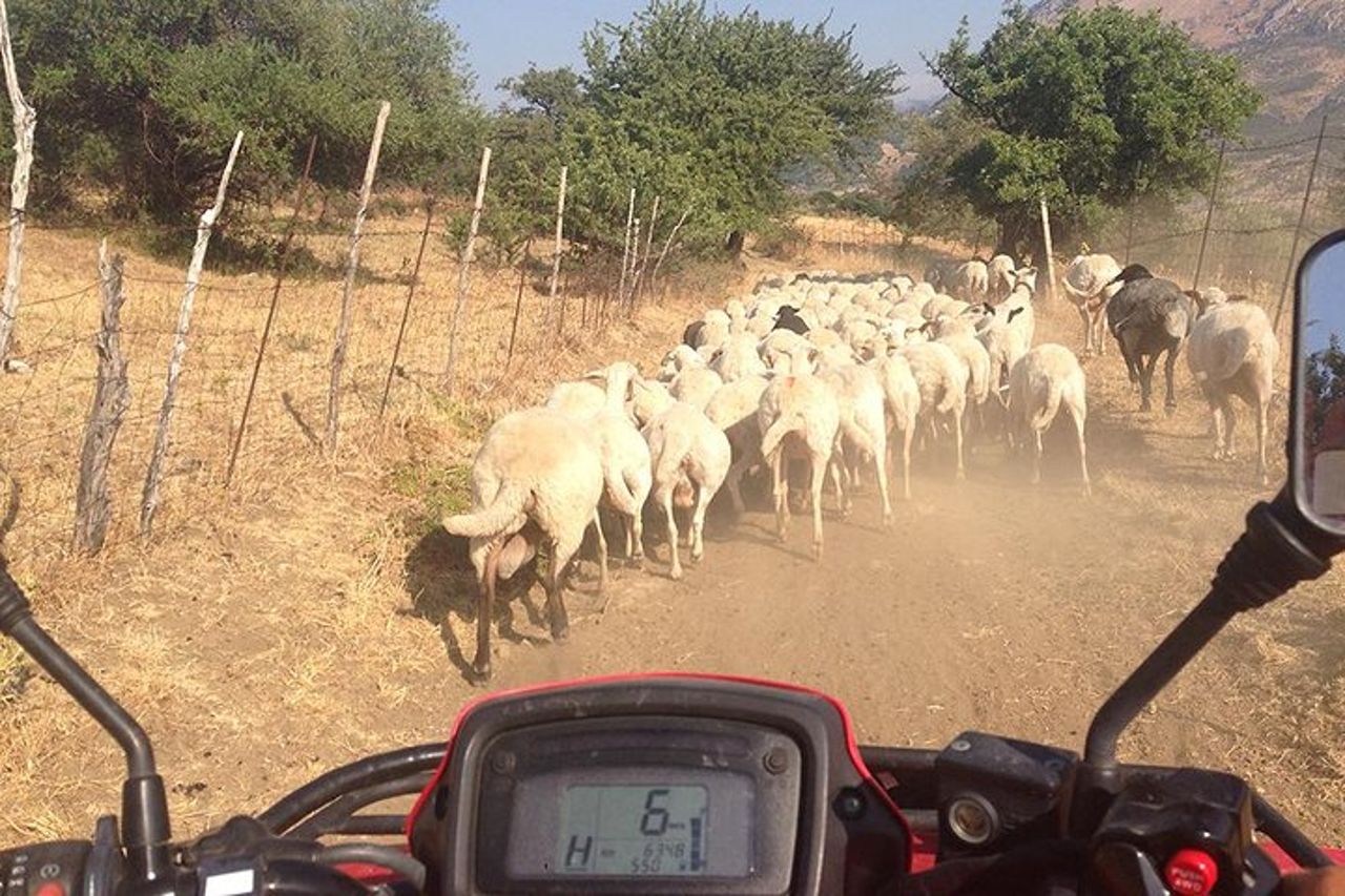 Offroad Cefalù Quad Tour — 6