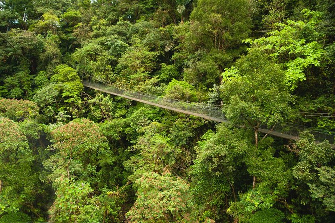 Zipline Adventure San Luis Da San José — 5