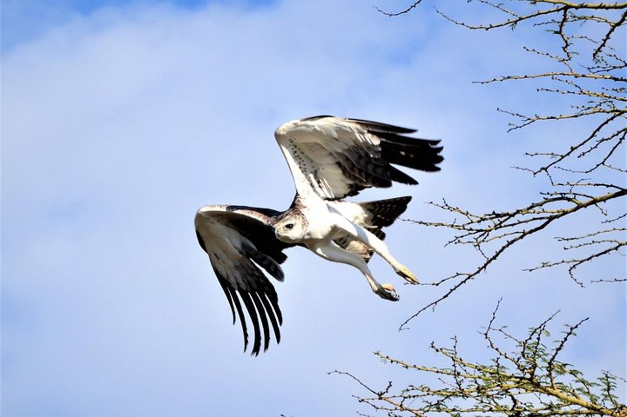 Safari di 1 giorno al Parco Nazionale del Lago Nakuru — 3