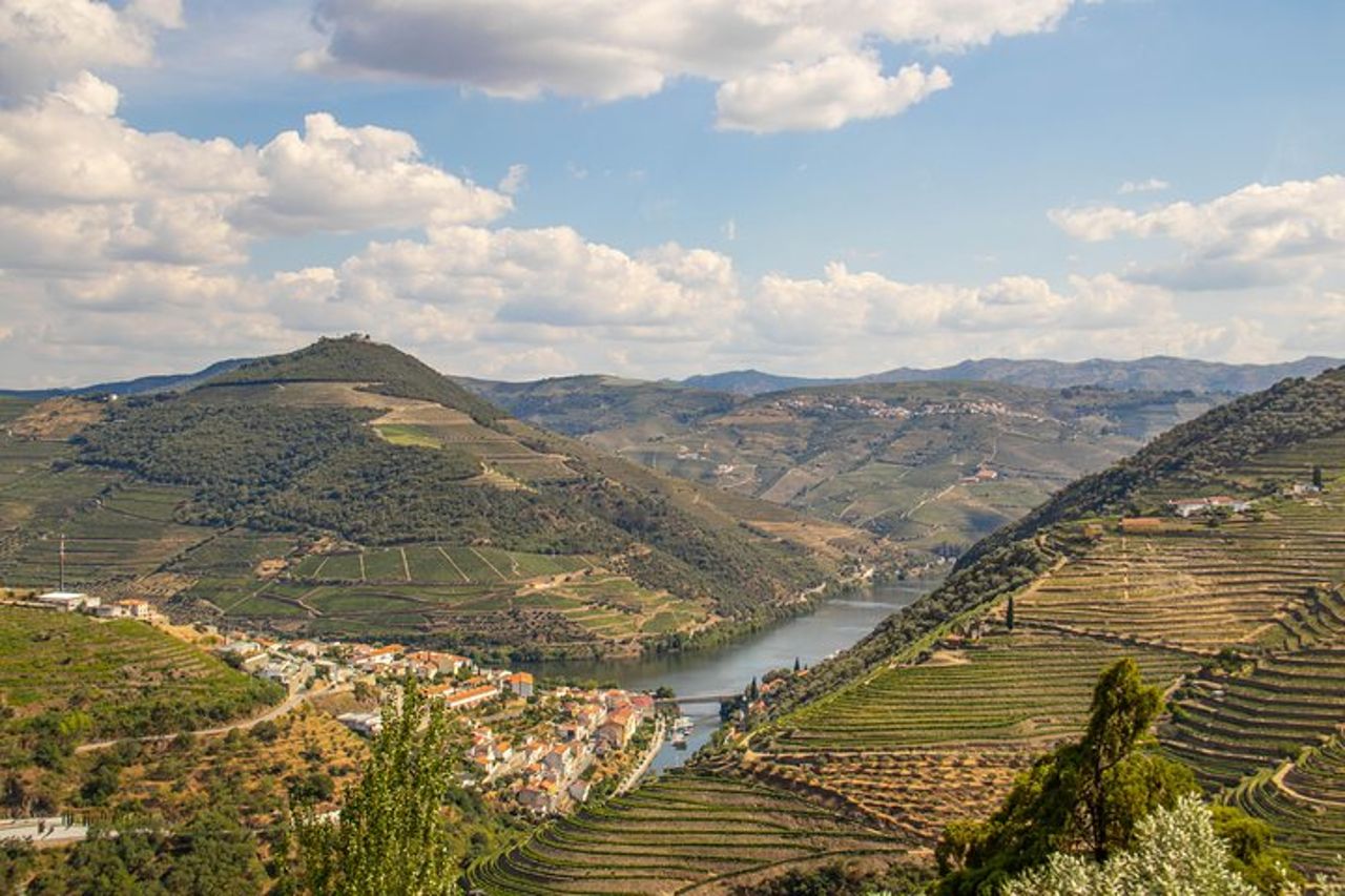 Valle del Douro: tour privato con pranzo e tenuta del vino tutto incluso — 8
