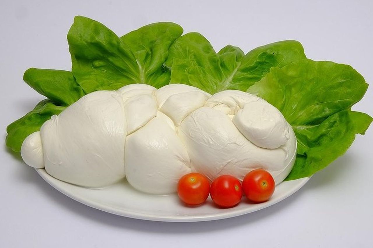 Da Castellabate Paestum Templi Bufala Mozzarella degustazione vini — 7