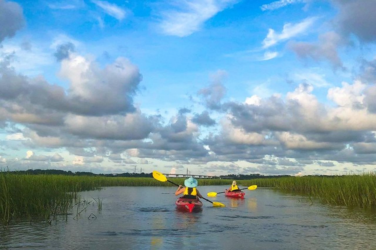 Tour naturalistico guidato in kayak di 2 ore all'Hilton Head