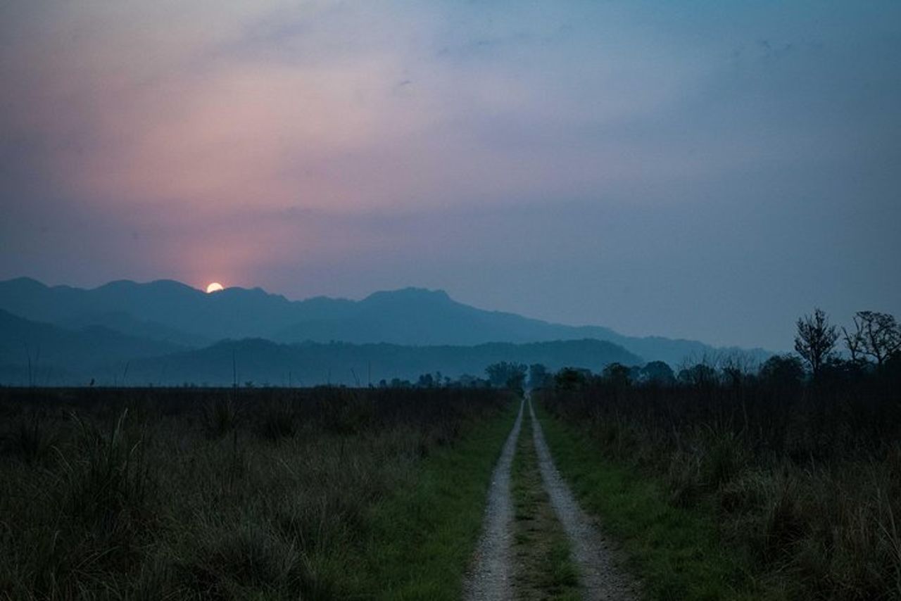 2N Jim Corbett National Park (Dhikala Zone) — 2