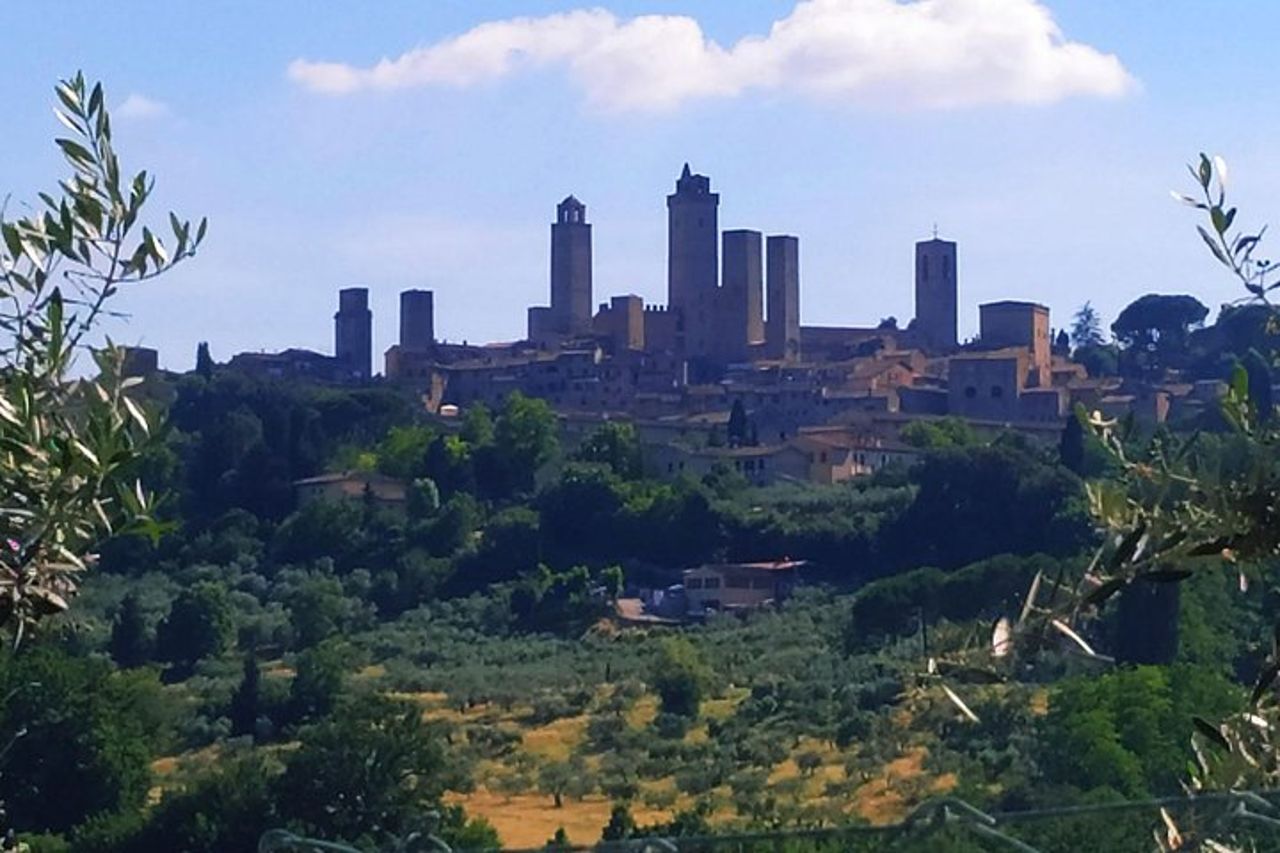 Corso privato di cucina toscana e degustazione di vini a Radda in Chianti — 8