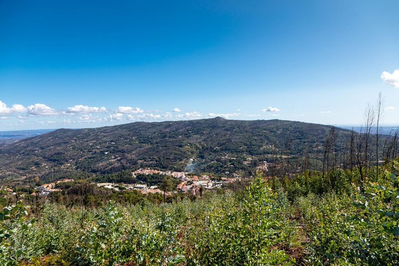 Algarve a la carte — 6