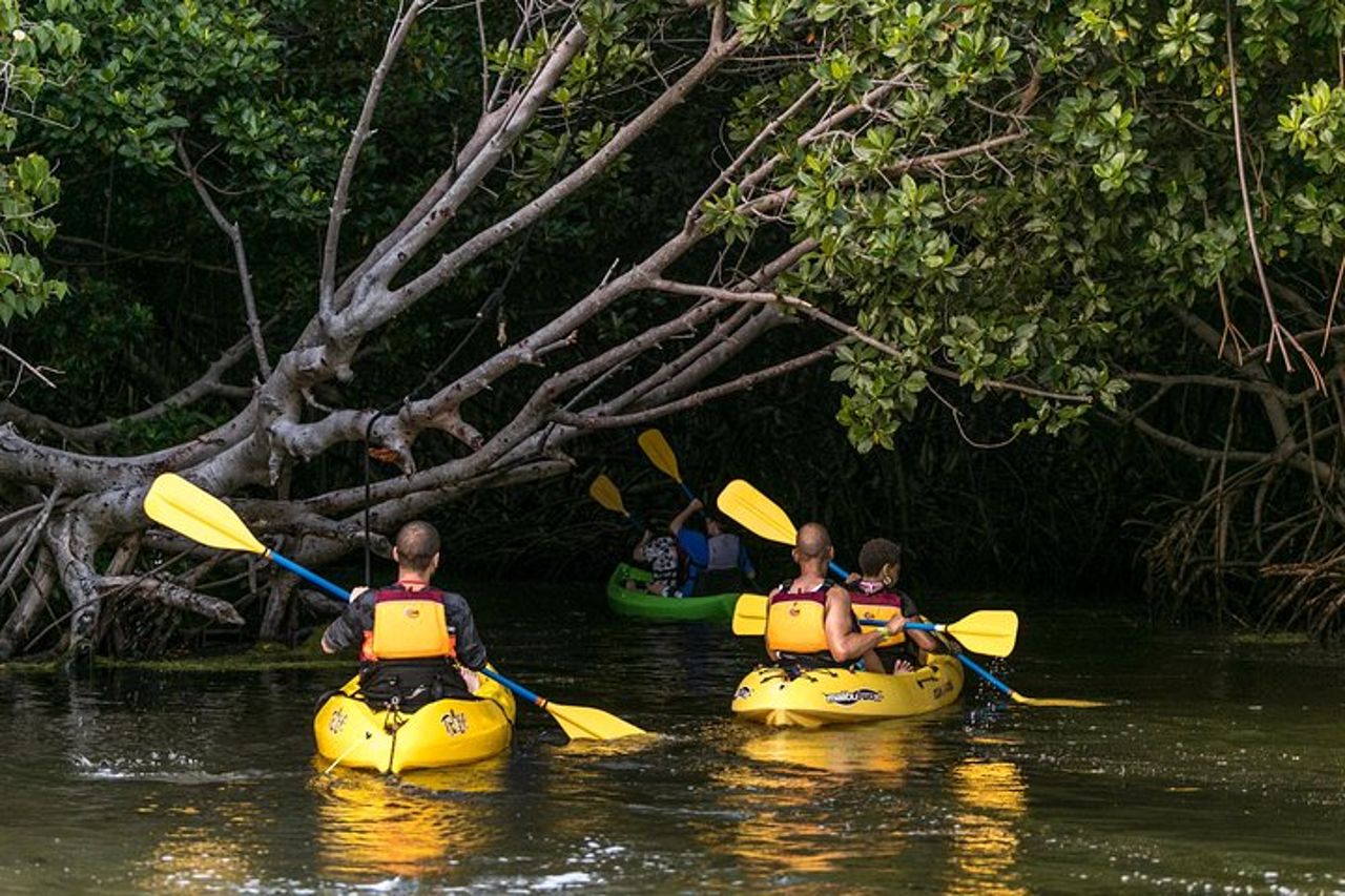 Tour del trio: El Yunque, Luquillo Beach e kayak notturno a Bio Bay — 3