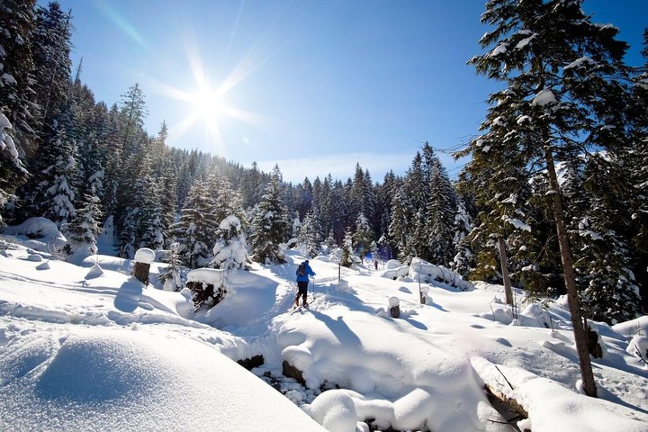 4 ore di viaggio skitour sui monti Tatra per principianti con attrezzatura per il noleggio — 5