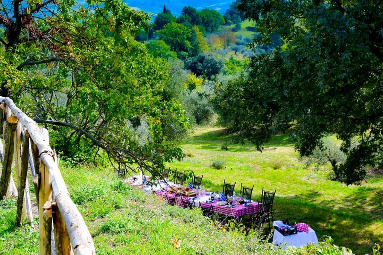 Pranzo nell' Oliveto — 4