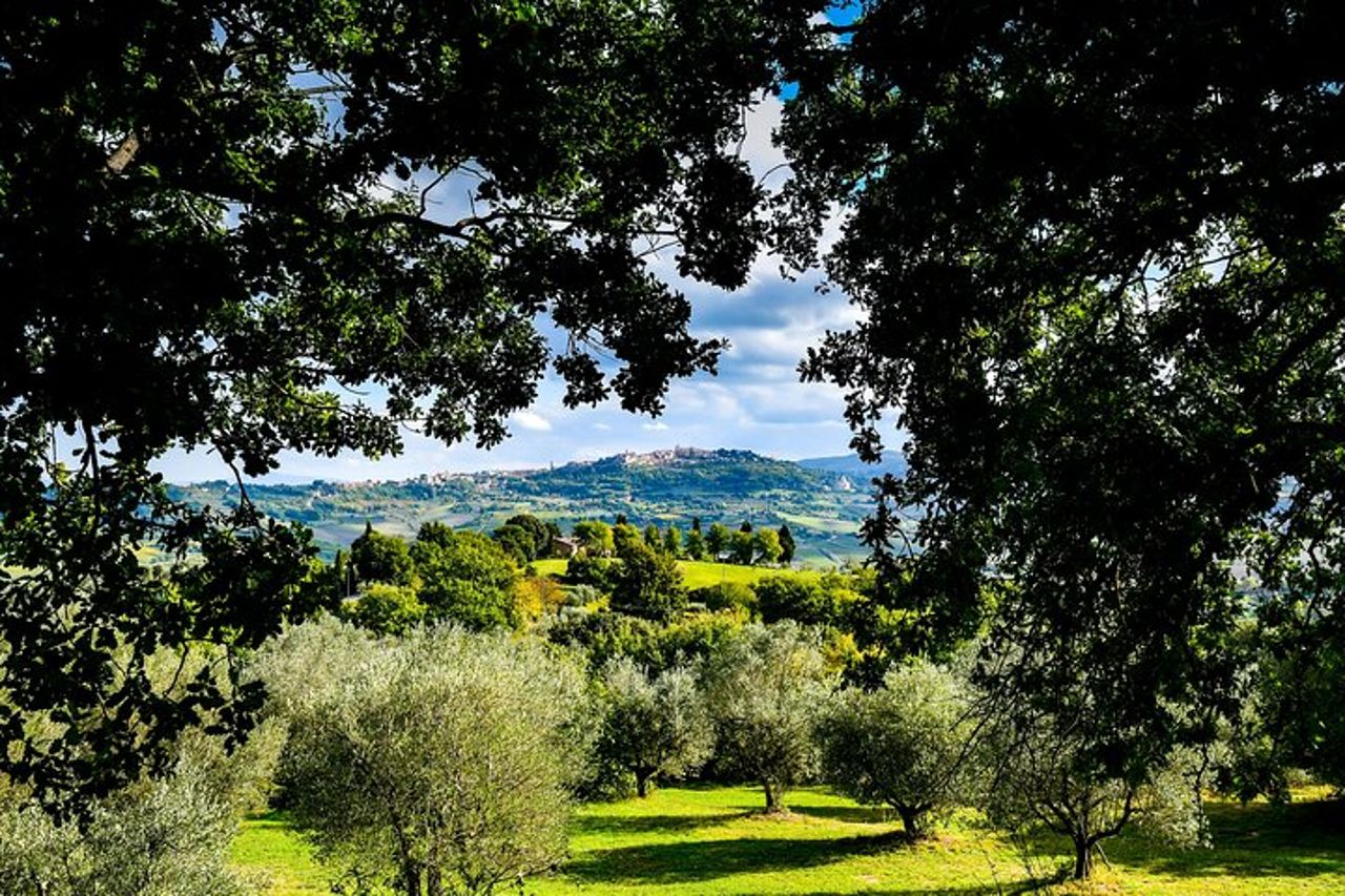 Pranzo nell' Oliveto — 7