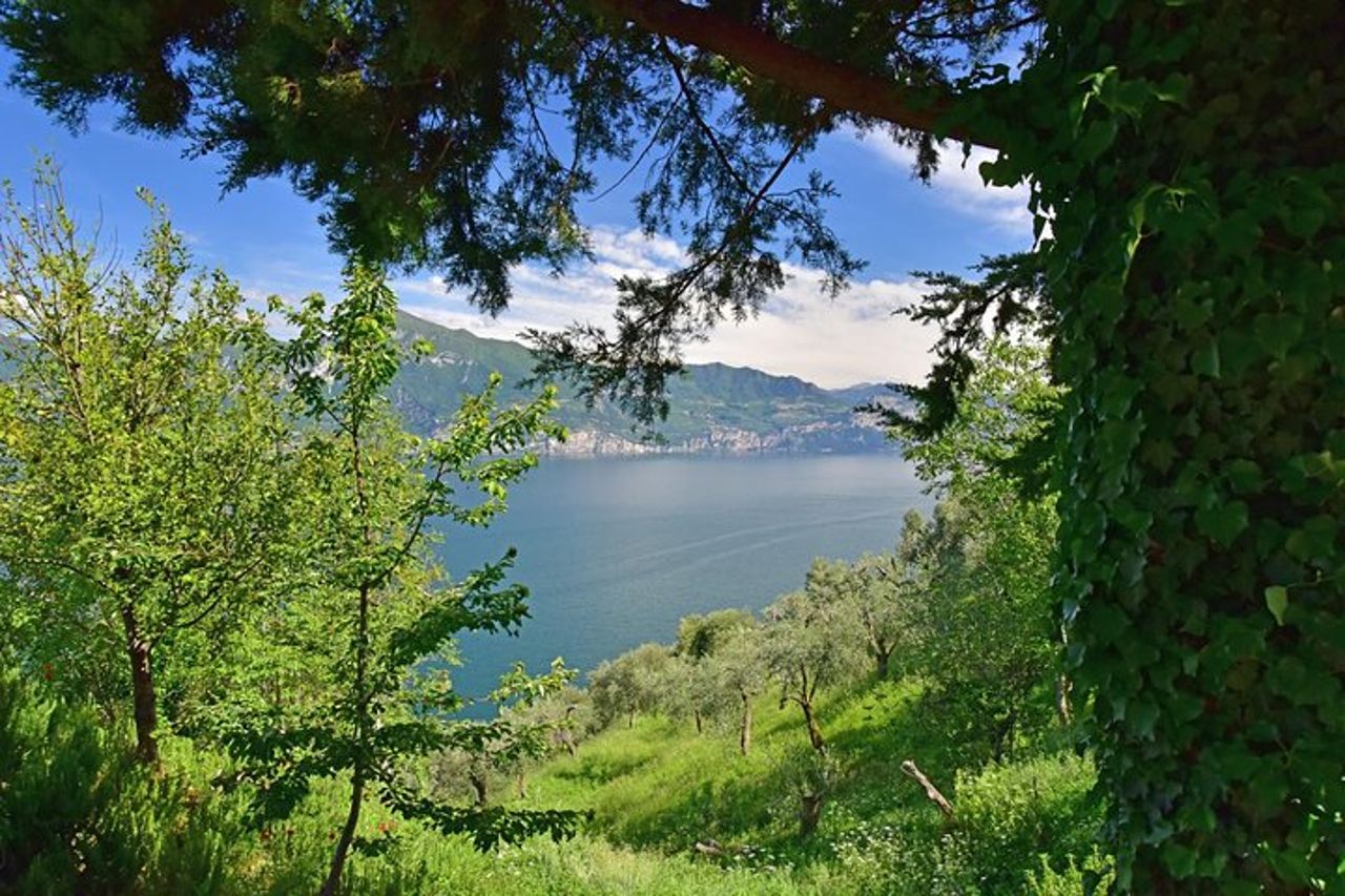 Fuga dalla città: gita giornaliera privata sul Lago di Garda da Verona — 4