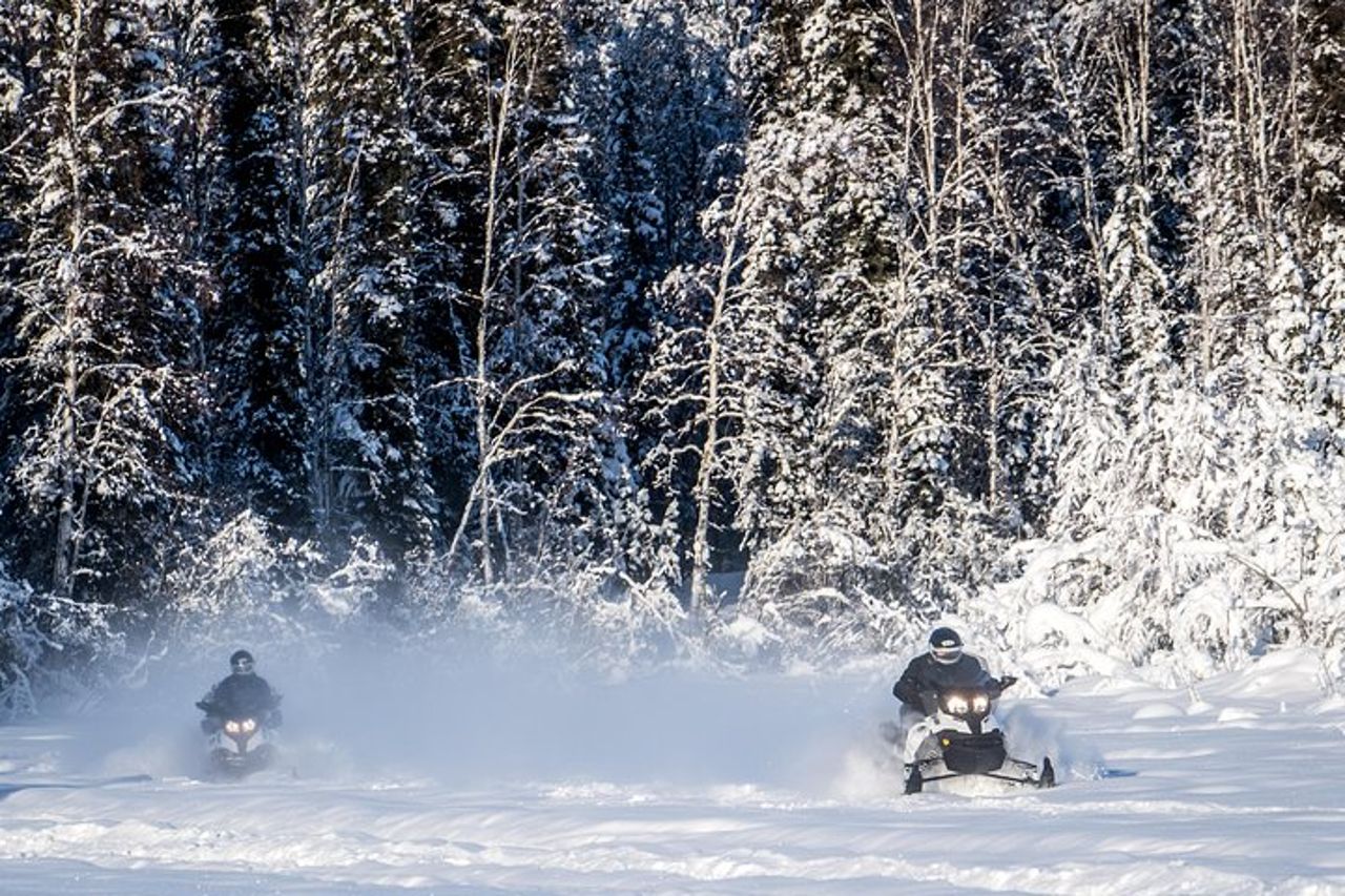 Tour guidato della motoslitta di Fairbanks — 3
