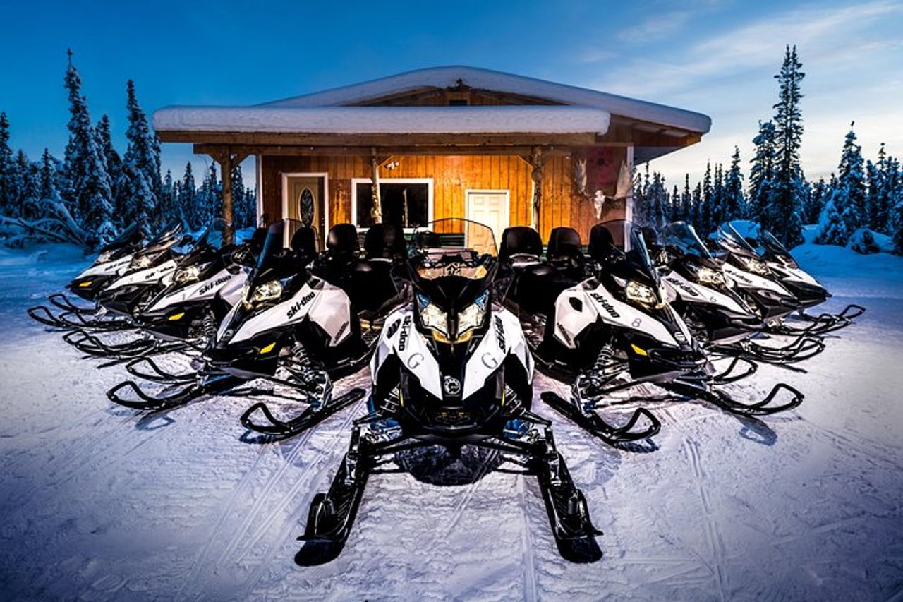 Tour guidato della motoslitta di Fairbanks — 6