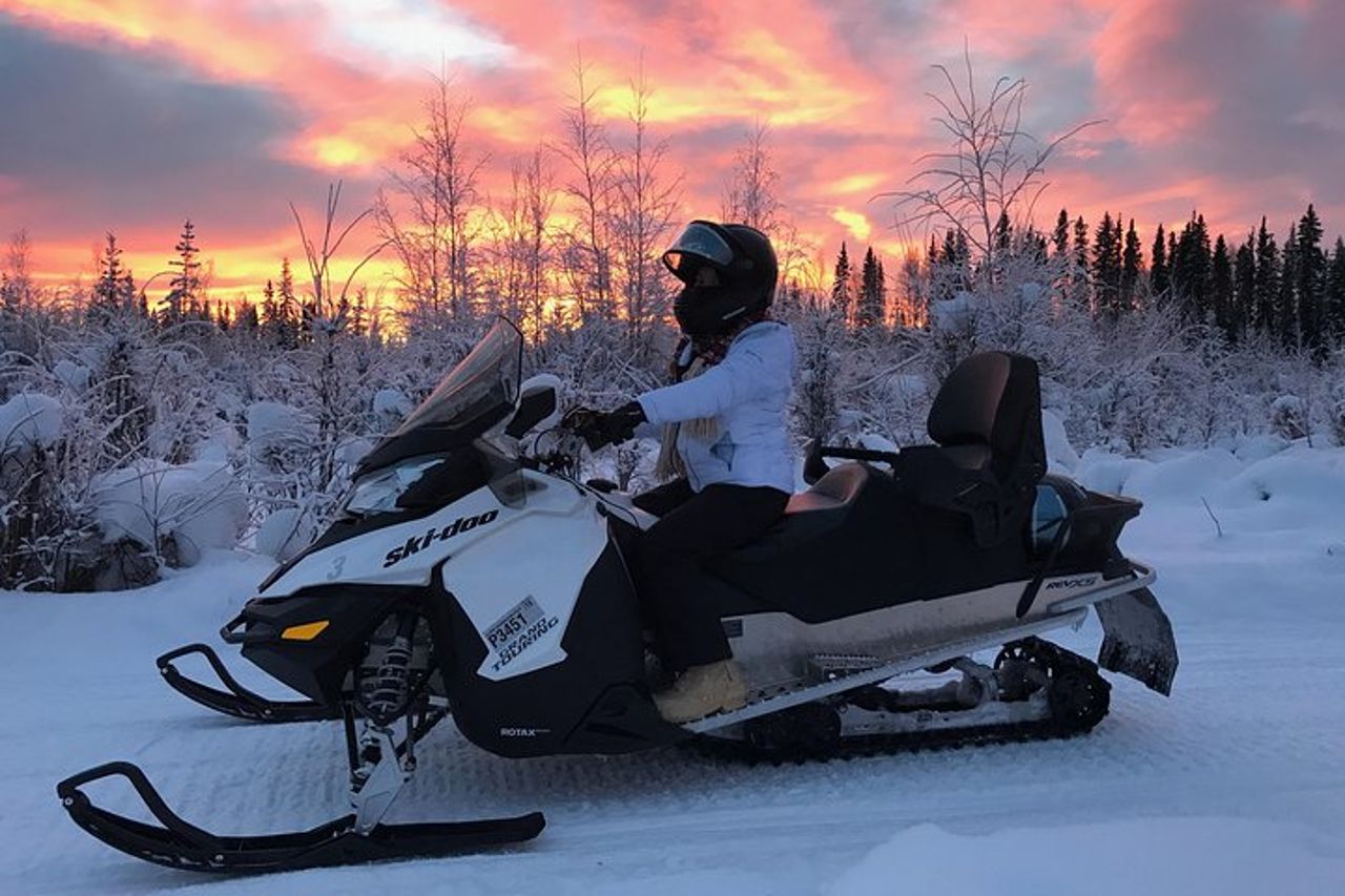 Tour guidato della motoslitta di Fairbanks — 8