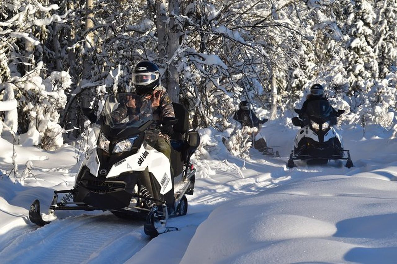 Tour guidato della motoslitta di Fairbanks — 9