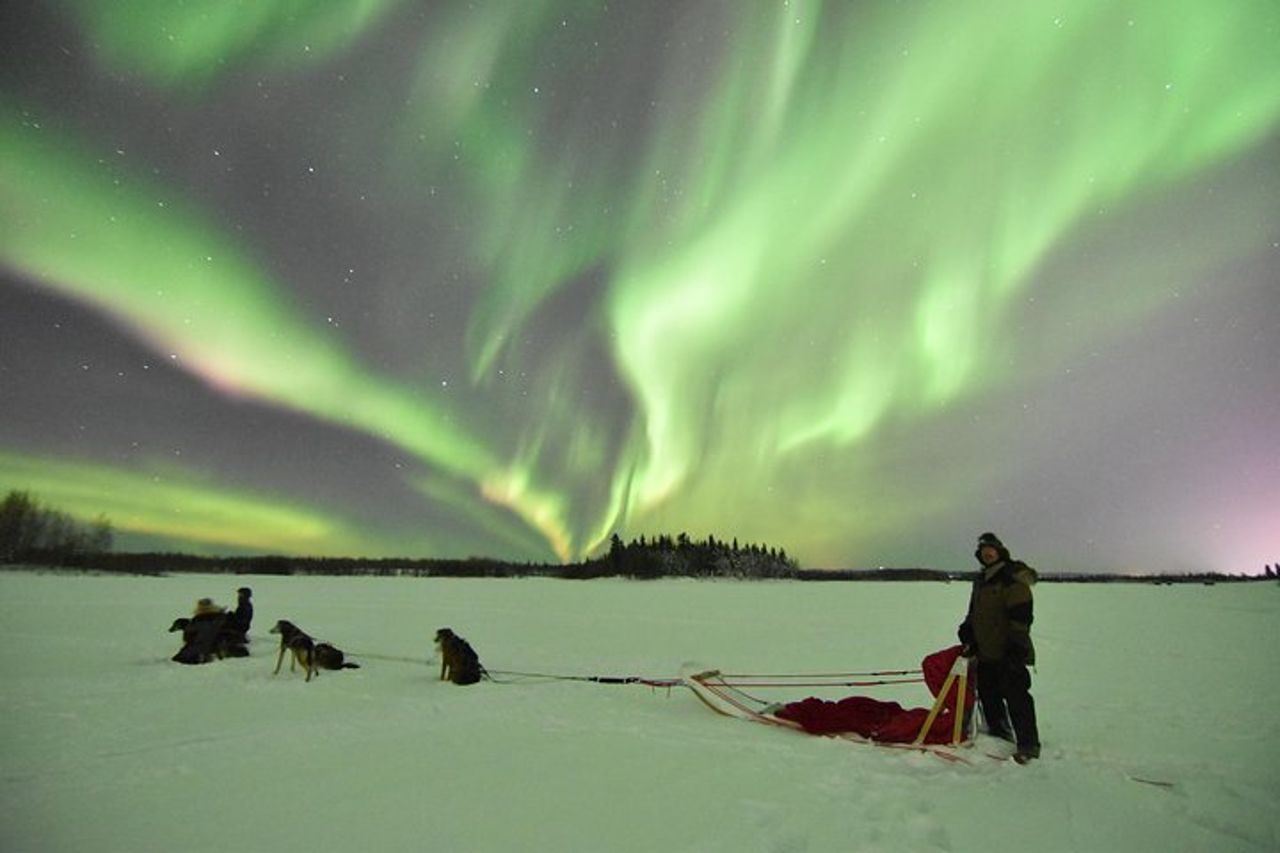 Esperienza di slitte trainate da cani e Mushing al Polo Nord — 5