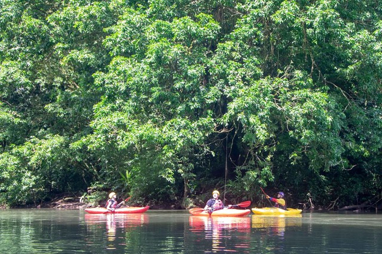 Tour in kayak nella giungla del fiume Sarapiquí — 2