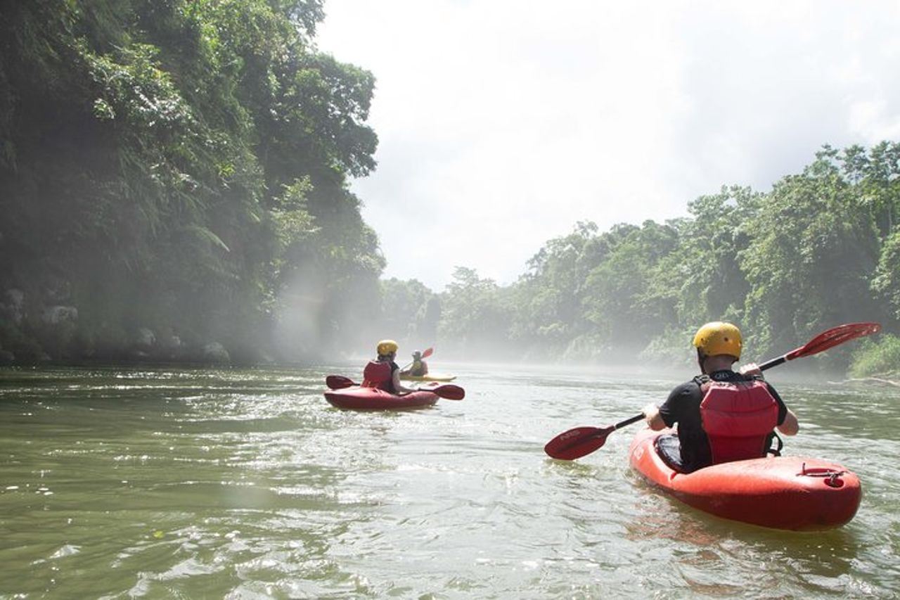 Tour in kayak nella giungla del fiume Sarapiquí