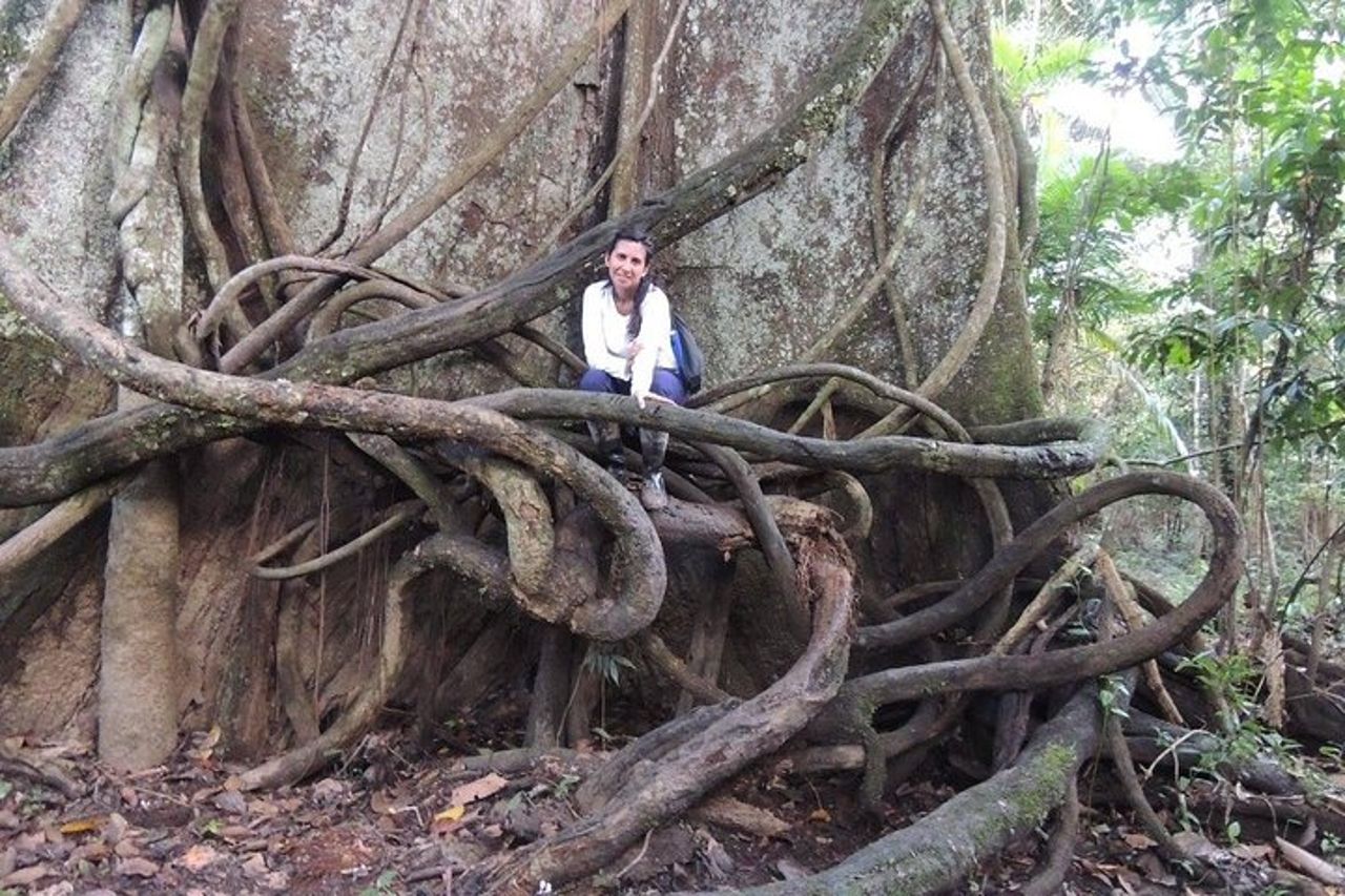 Amazzonia foresta pluviale avventura 3/ Giorni 2/ Notti — 7