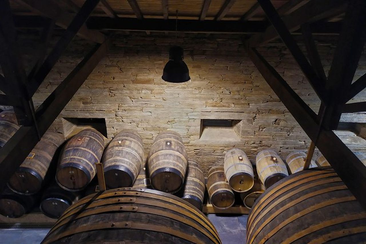 Wine Venture e gita in barca nella Valle del Douro da Porto — 7