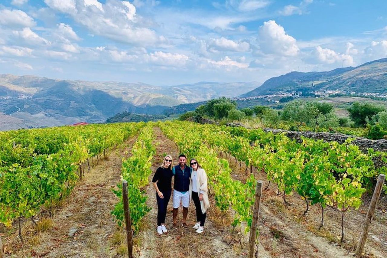 Wine Venture e gita in barca nella Valle del Douro da Porto — 9