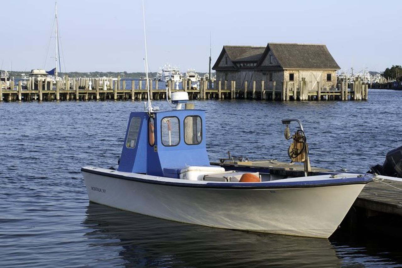 Gita giornaliera privata agli Hamptons da New York City